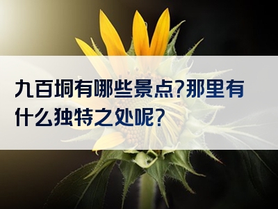 九百垌有哪些景点？那里有什么独特之处呢？