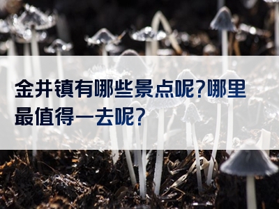 金井镇有哪些景点呢？哪里最值得一去呢？