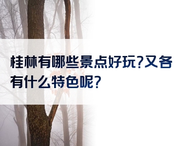 桂林有哪些景点好玩？又各有什么特色呢？