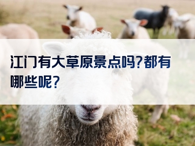 江门有大草原景点吗？都有哪些呢？