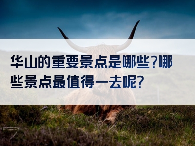 华山的重要景点是哪些？哪些景点最值得一去呢？