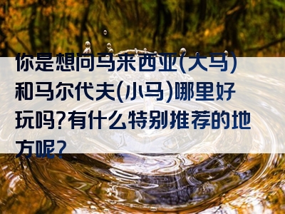 你是想问马来西亚（大马）和马尔代夫（小马）哪里好玩吗？有什么特别推荐的地方呢？