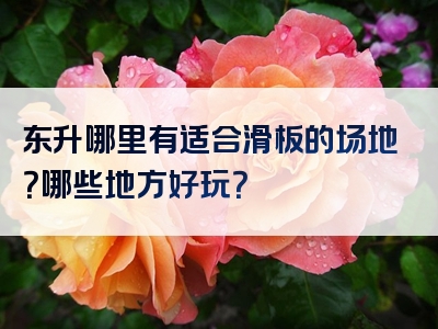 东升哪里有适合滑板的场地？哪些地方好玩？