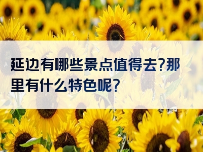 延边有哪些景点值得去？那里有什么特色呢？