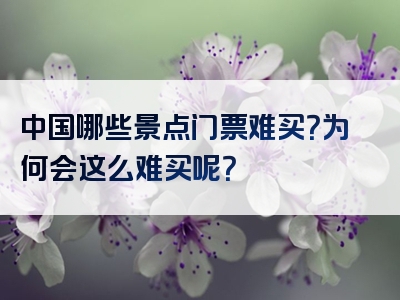 中国哪些景点门票难买？为何会这么难买呢？