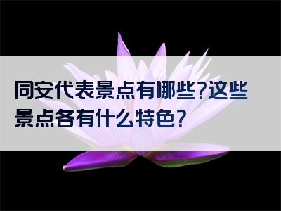 同安代表景点有哪些？这些景点各有什么特色？