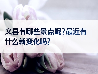 文县有哪些景点呢？最近有什么新变化吗？