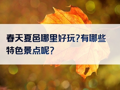 春天夏邑哪里好玩？有哪些特色景点呢？