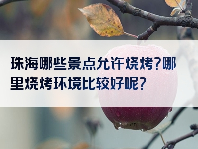 珠海哪些景点允许烧烤？哪里烧烤环境比较好呢？