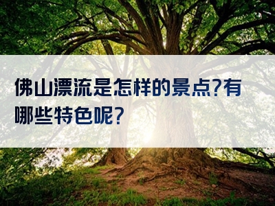 佛山漂流是怎样的景点？有哪些特色呢？