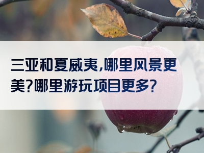 三亚和夏威夷，哪里风景更美？哪里游玩项目更多？