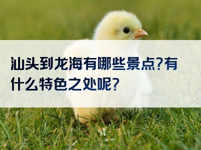 汕头到龙海有哪些景点？有什么特色之处呢？