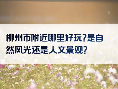 柳州市附近哪里好玩？是自然风光还是人文景观？