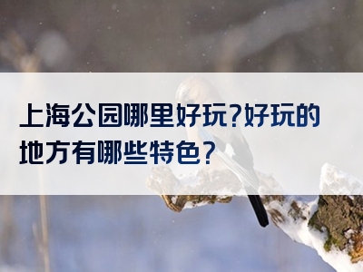 上海公园哪里好玩？好玩的地方有哪些特色？
