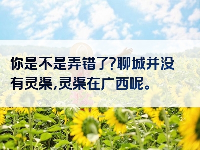 你是不是弄错了？聊城并没有灵渠，灵渠在广西呢。