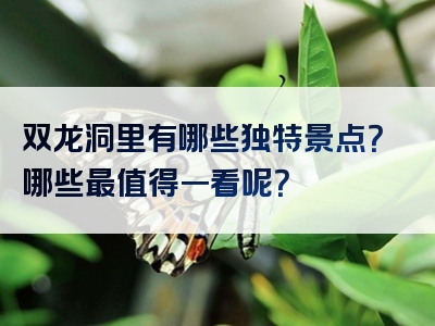 双龙洞里有哪些独特景点？哪些最值得一看呢？