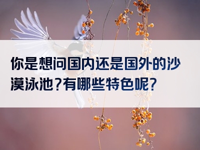 你是想问国内还是国外的沙漠泳池？有哪些特色呢？