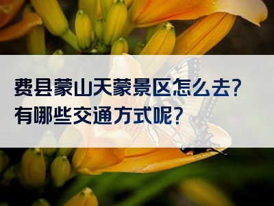 费县蒙山天蒙景区怎么去？有哪些交通方式呢？