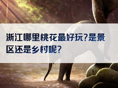 浙江哪里桃花最好玩？是景区还是乡村呢？