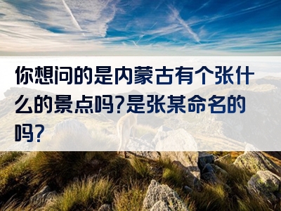 你想问的是内蒙古有个张什么的景点吗？是张某命名的吗？