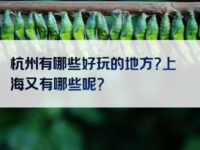杭州有哪些好玩的地方？上海又有哪些呢？