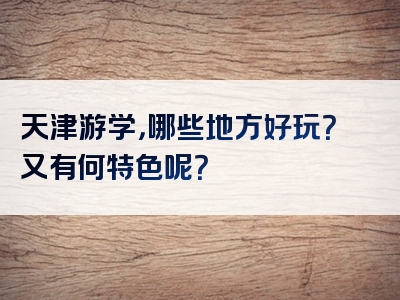 天津游学，哪些地方好玩？又有何特色呢？