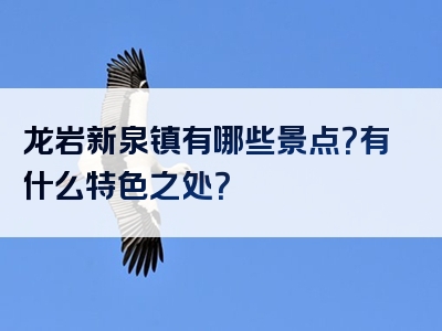 龙岩新泉镇有哪些景点？有什么特色之处？
