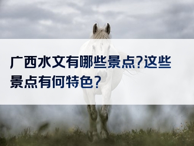广西水文有哪些景点？这些景点有何特色？