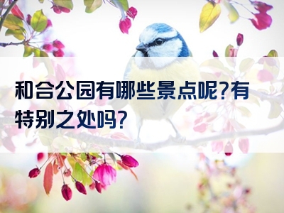 和合公园有哪些景点呢？有特别之处吗？