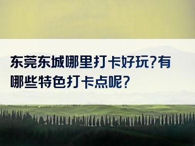 东莞东城哪里打卡好玩？有哪些特色打卡点呢？