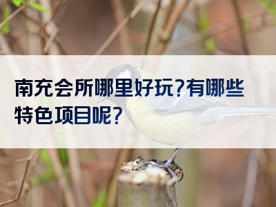 南充会所哪里好玩？有哪些特色项目呢？