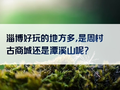 淄博好玩的地方多，是周村古商城还是潭溪山呢？
