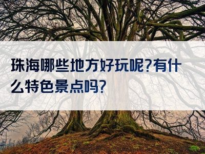 珠海哪些地方好玩呢？有什么特色景点吗？