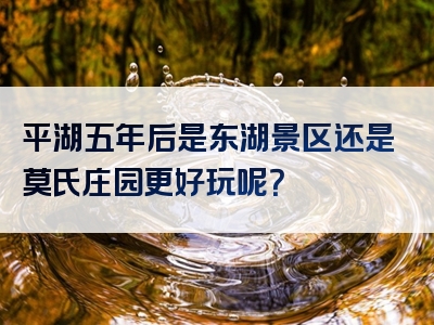 平湖五年后是东湖景区还是莫氏庄园更好玩呢？