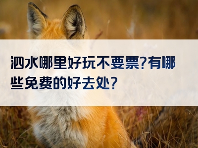 泗水哪里好玩不要票？有哪些免费的好去处？