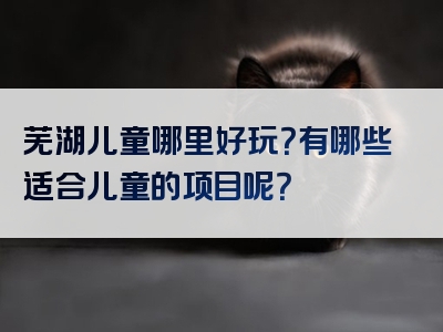 芜湖儿童哪里好玩？有哪些适合儿童的项目呢？