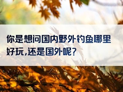 你是想问国内野外钓鱼哪里好玩，还是国外呢？