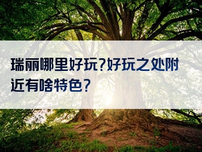 瑞丽哪里好玩？好玩之处附近有啥特色？