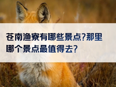 苍南渔寮有哪些景点？那里哪个景点最值得去？
