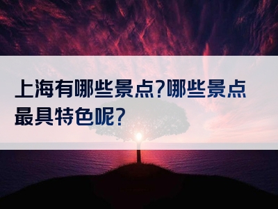 上海有哪些景点？哪些景点最具特色呢？