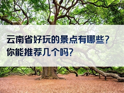 云南省好玩的景点有哪些？你能推荐几个吗？