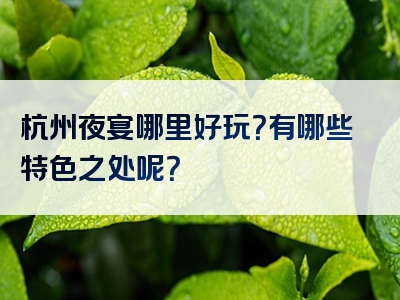 杭州夜宴哪里好玩？有哪些特色之处呢？