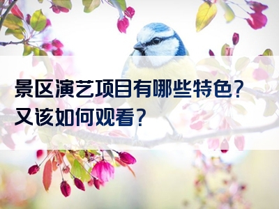 景区演艺项目有哪些特色？又该如何观看？