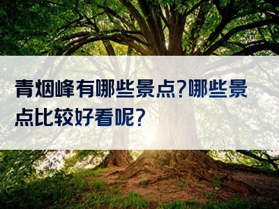 青烟峰有哪些景点？哪些景点比较好看呢？