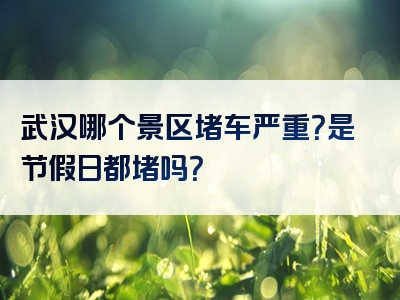 武汉哪个景区堵车严重？是节假日都堵吗？