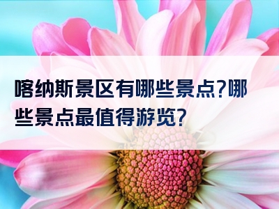 喀纳斯景区有哪些景点？哪些景点最值得游览？