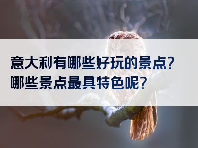 意大利有哪些好玩的景点？哪些景点最具特色呢？