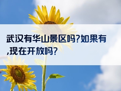 武汉有华山景区吗？如果有，现在开放吗？