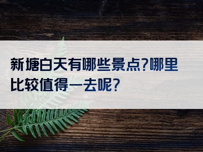 新塘白天有哪些景点？哪里比较值得一去呢？