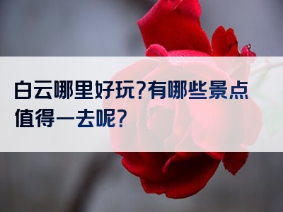 白云哪里好玩？有哪些景点值得一去呢？